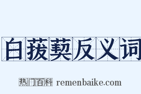 白菝葜反义词是什么意思的图片